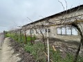 Продава ПРОМ. ПОМЕЩЕНИЕ, област Добрич, с. Дончево • 94300 € • 71162101 — Holmes.bg
