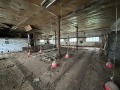 Продава ПРОМ. ПОМЕЩЕНИЕ, област Добрич, с. Дончево • 94300 € • 71162101 — Holmes.bg