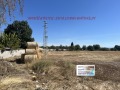 Продава  Земеделска земя област Пазарджик , с. Сарая , 16 дка | 35610575