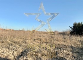 ������ ������� ������