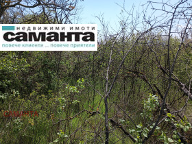 ����� ������� ������,���� �����, �-� ���������