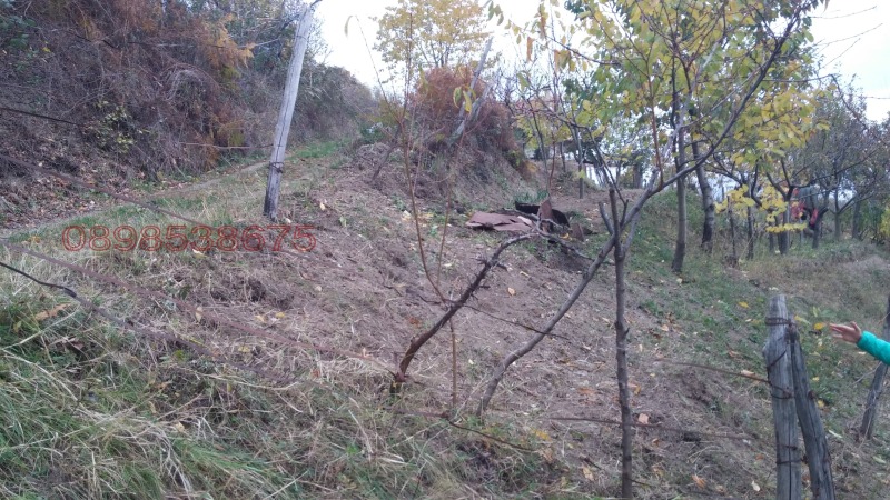 Продава ПАРЦЕЛ, гр. Берковица, област Монтана, снимка 3 - Парцели - 52785384