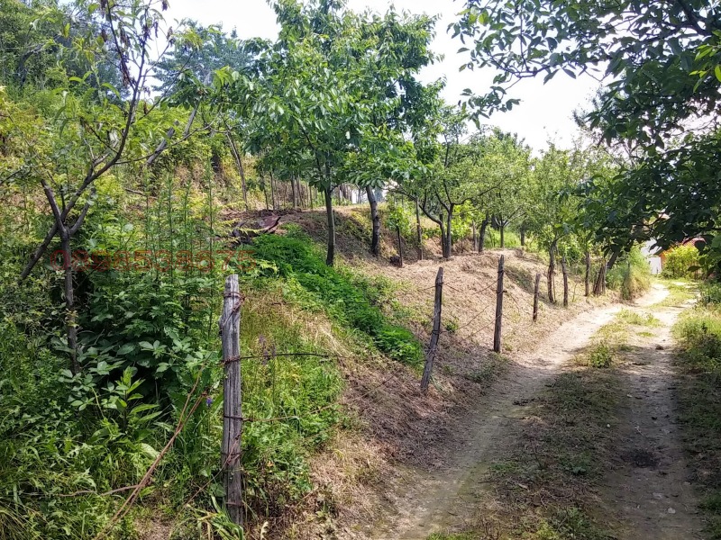 Продава ПАРЦЕЛ, гр. Берковица, област Монтана