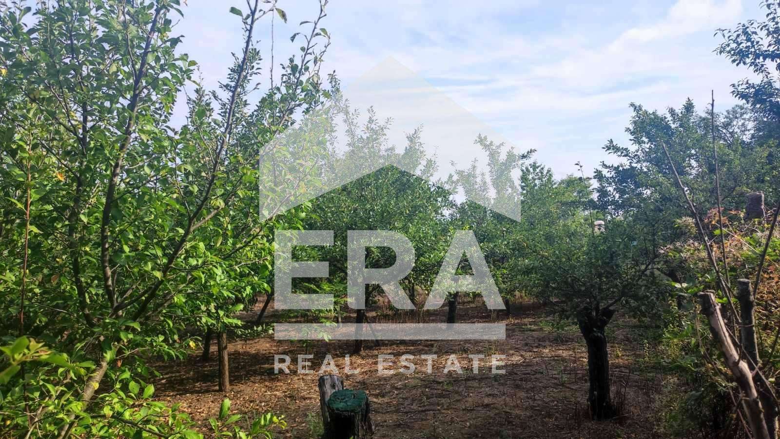 Продава ПАРЦЕЛ, с. Разбойна, област Търговище, снимка 2 - Парцели - 53677481