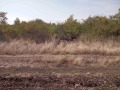 Продава ПАРЦЕЛ, гр. Поморие, област Бургас, снимка 14