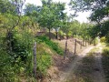 Продава ПАРЦЕЛ, гр. Берковица, област Монтана, снимка 1
