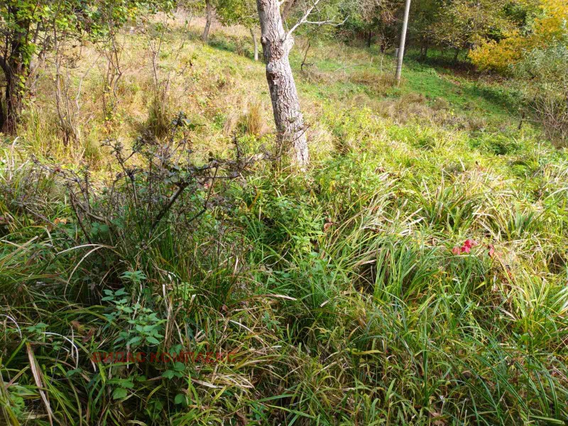 For Sale  Plot region Sofia , Vlado Trichkov , 900 sq.m | 60917732 - image [2]
