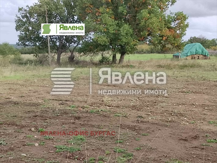 Na prodej  Spiknutí oblast Burgas , Fazanovo , 602 m2 | 48896964 - obraz [9]