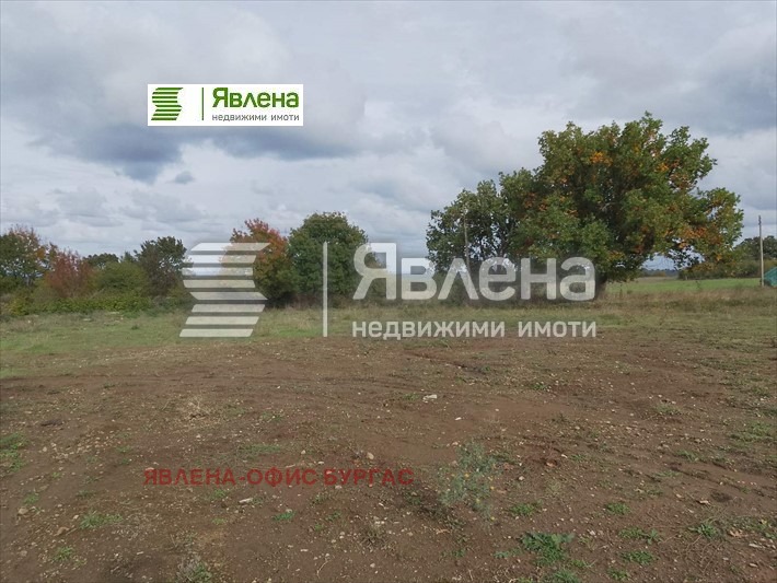 Na prodej  Spiknutí oblast Burgas , Fazanovo , 602 m2 | 48896964 - obraz [8]