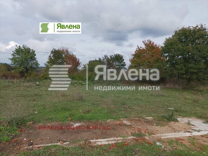 Na prodej  Spiknutí oblast Burgas , Fazanovo , 602 m2 | 48896964 - obraz [7]