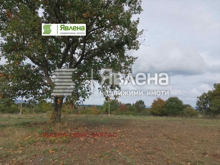Na prodej  Spiknutí oblast Burgas , Fazanovo , 602 m2 | 48896964 - obraz [2]