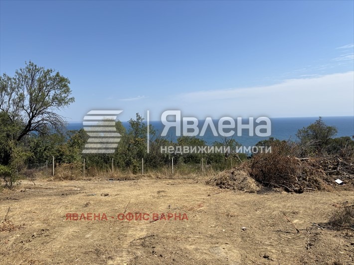 ������� ������ | Imot.bg � ����������� 1