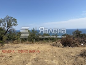 ����� ������� ������,���� �����, �-� ������