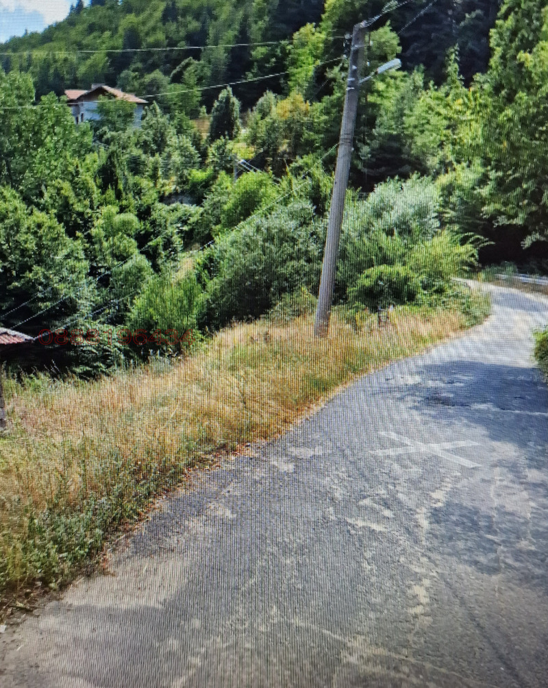 Продава ПАРЦЕЛ, с. Давидково, област Смолян, снимка 3 - Парцели - 52781923