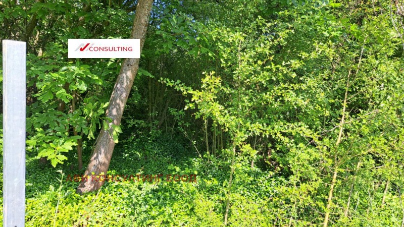 Продается  Сюжет область София , Нови хан , 1150 кв.м | 16676986 - изображение [13]