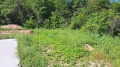 Продава ПАРЦЕЛ, област София, с. Нови хан • 60000 € • 22250390 — Holmes.bg
