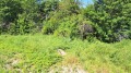 Продава ПАРЦЕЛ, област София, с. Нови хан • 60000 € • 22250390 — Holmes.bg