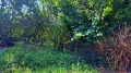 Продава ПАРЦЕЛ, област София, с. Нови хан • 60000 € • 22250390 — Holmes.bg