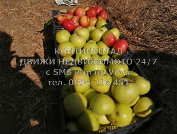 ������� ���������� ���� | Imot.bg � ����������� 4