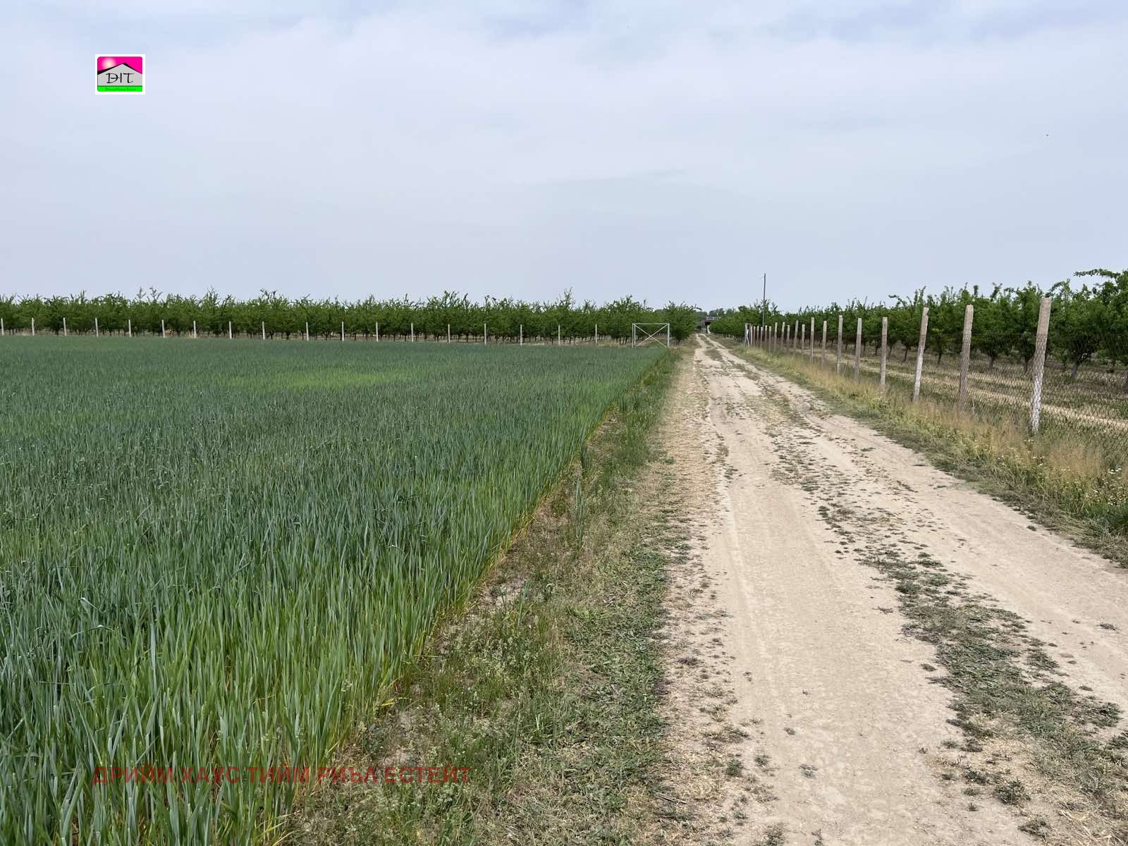 Продава ЗЕМЕДЕЛСКА ЗЕМЯ | Imot.bg — изображение 2