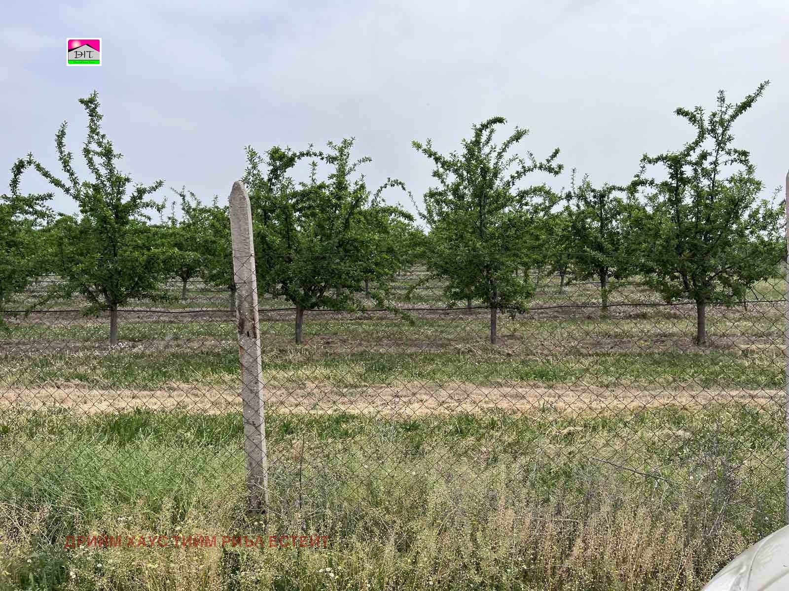 Продава ЗЕМЕДЕЛСКА ЗЕМЯ | Imot.bg — изображение 3