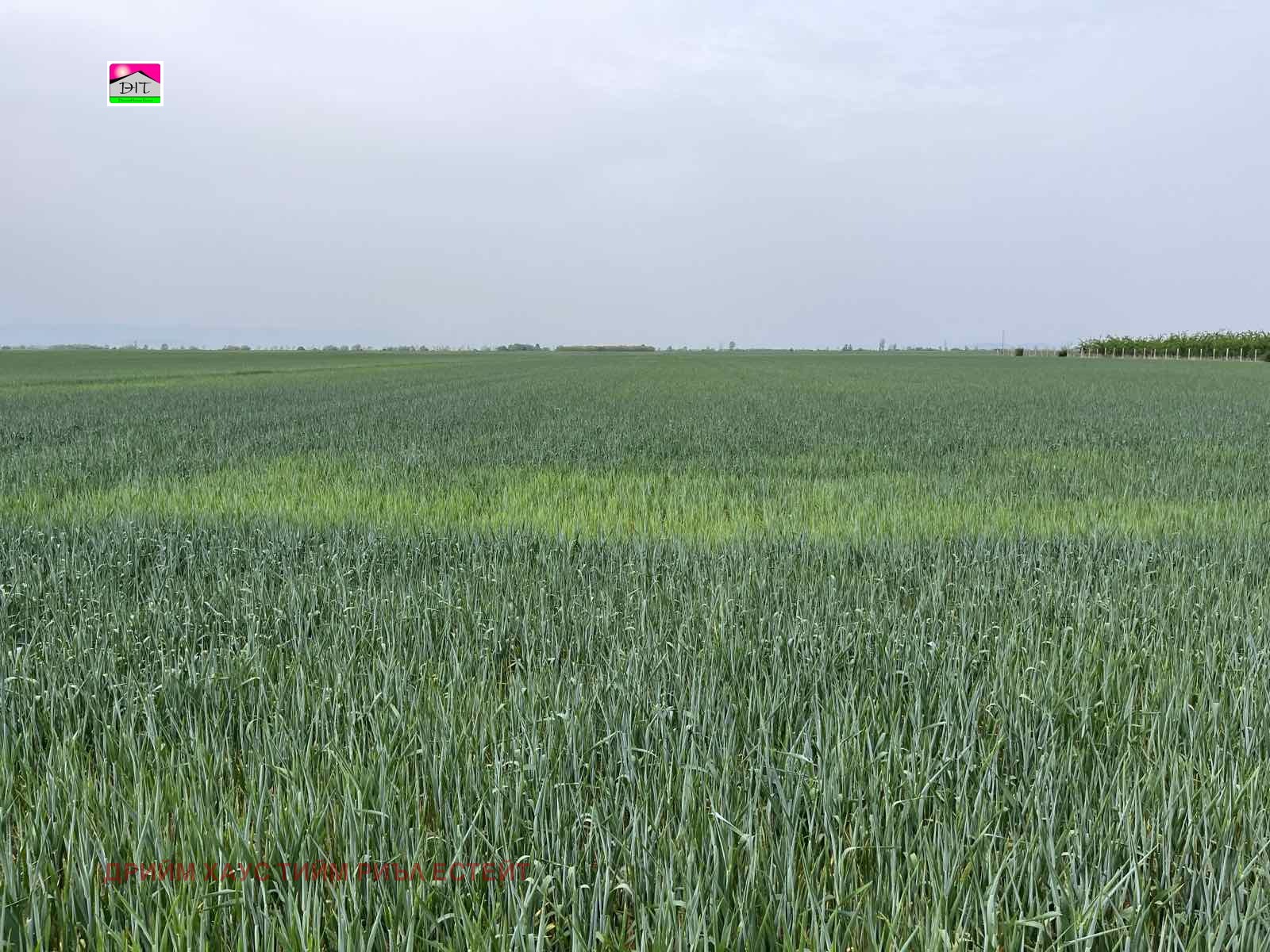 Продава ЗЕМЕДЕЛСКА ЗЕМЯ | Imot.bg — изображение 1