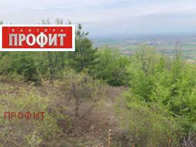 Продажба на имоти в с. Руен, област Пловдив - изображение 6 