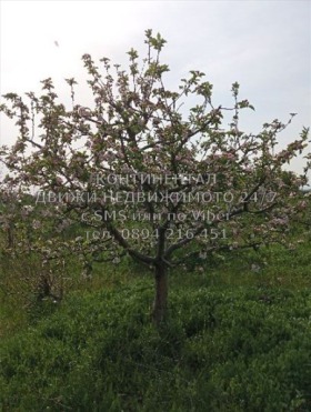 ������� ���������� ���� | Imot.bg � ����� ������ 5