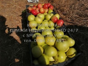 ������� ���������� ���� | Imot.bg � ����� ������ 4