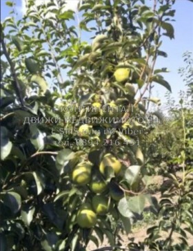 ������� ���������� ���� | Imot.bg � ����� ������ 3