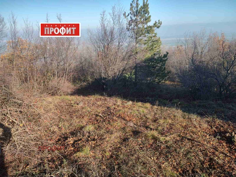 Продава ПАРЦЕЛ, с. Руен, област Пловдив, снимка 8 - Парцели - 49566292