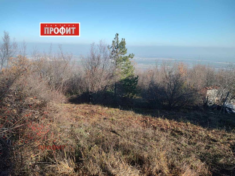 Продава ПАРЦЕЛ, с. Руен, област Пловдив, снимка 7 - Парцели - 49566292