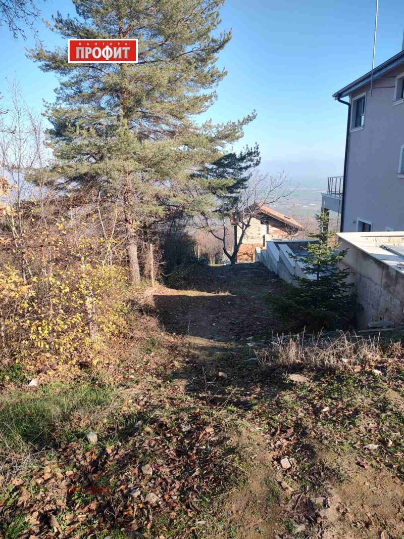 Продава ПАРЦЕЛ, с. Руен, област Пловдив, снимка 10 - Парцели - 49566292