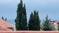 Продава КЪЩА, област Бургас, гр. Свети Влас • 360000 € / 704098.80 лв. • 44432979 14