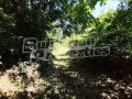 Продава КЪЩА, област Габрово, с. Млечево • 34000 € • 85571307 — Holmes.bg