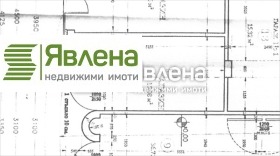 ����� ������� �������,���� �����, ������