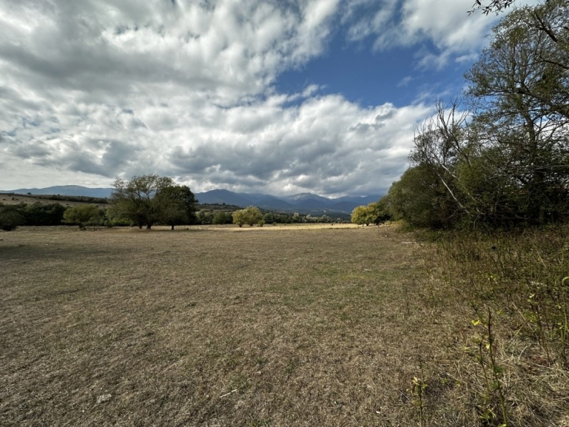 Zu verkaufen  Handlung region Blagoewgrad , Dolno Draglishte , 606 qm | 89584972 - Bild [4]