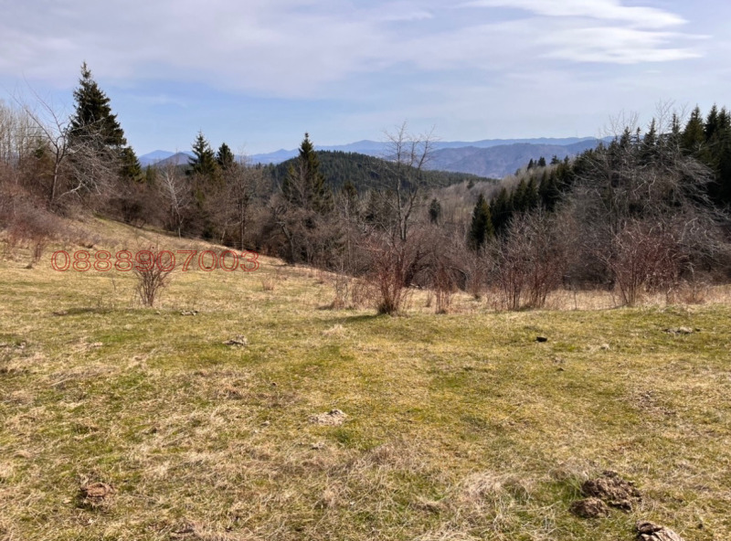 Продава ЗЕМЕДЕЛСКА ЗЕМЯ, с. Левочево, област Смолян, снимка 4 - Земеделска земя - 52786455