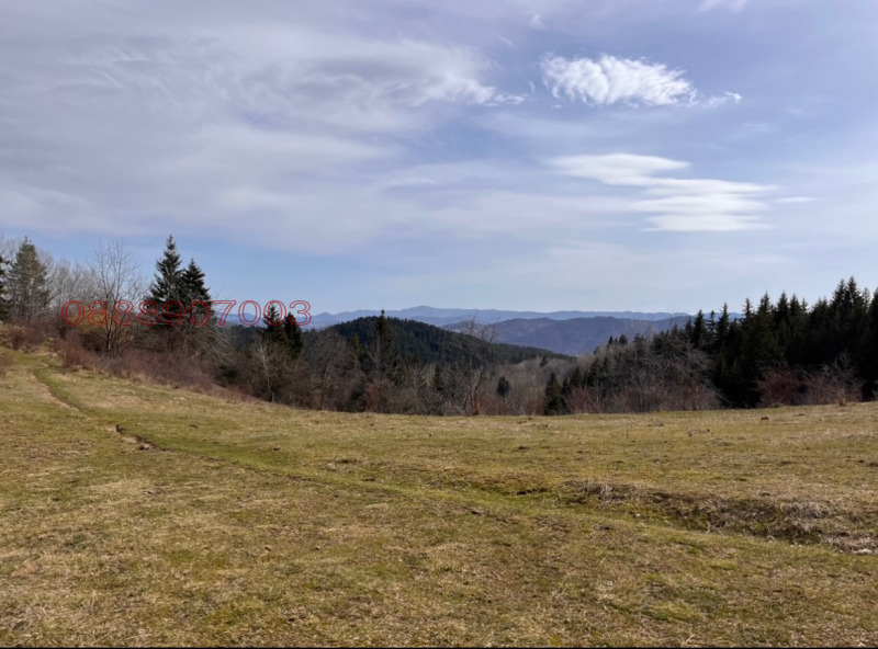 Продава ЗЕМЕДЕЛСКА ЗЕМЯ, с. Левочево, област Смолян, снимка 3 - Земеделска земя - 52786455