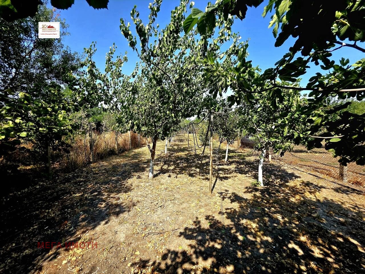Продава КЪЩА, с. Каменар, област Бургас, снимка 5 - Къщи - 55025264