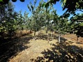Продава КЪЩА, с. Каменар, област Бургас, снимка 5