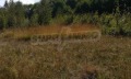 Продава ПАРЦЕЛ, област Ловеч, с. Рибарица • 21460 € • 30688733 — Holmes.bg