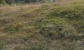 Продава ПАРЦЕЛ, област Ловеч, с. Рибарица • 21460 € • 30688733 — Holmes.bg
