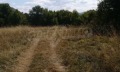 Продава ПАРЦЕЛ, област Ловеч, с. Рибарица • 21460 € • 30688733 — Holmes.bg