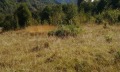 Продава ПАРЦЕЛ, област Ловеч, с. Рибарица • 21460 € • 30688733 — Holmes.bg