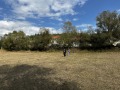 Продава ПАРЦЕЛ, област Благоевград, с. Долно Драглище • 24500 € / 47917.83 лв. • 94335714 11