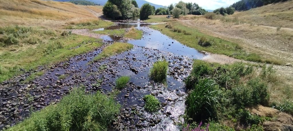 ������� ���� | Imot.bg � ����������� 14