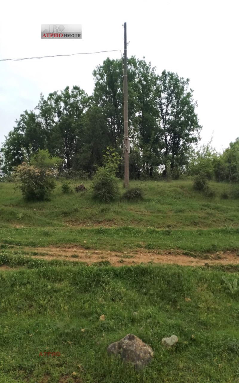 Продава ЗЕМЕДЕЛСКА ЗЕМЯ, с. Крупник, област Благоевград, снимка 3 - Земеделска земя - 53463963