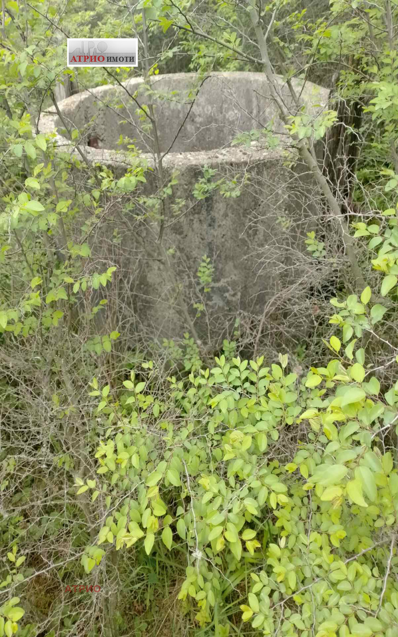 Продава ЗЕМЕДЕЛСКА ЗЕМЯ, с. Крупник, област Благоевград, снимка 4 - Земеделска земя - 53463963