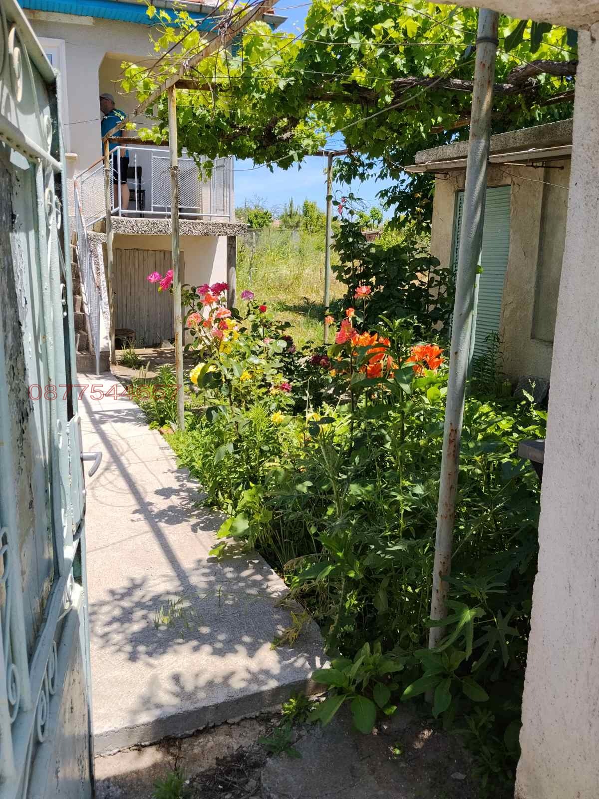 Продава КЪЩА, с. Момино село, област Пловдив, снимка 8 - Къщи - 54817835